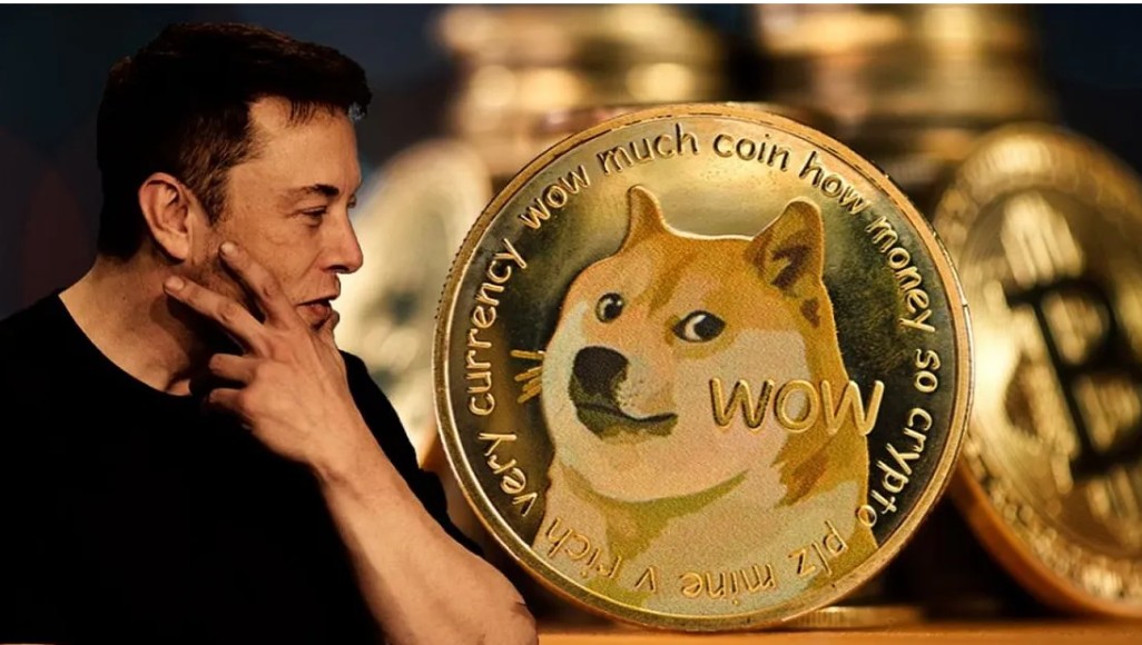 Dogecoin forexmony.com